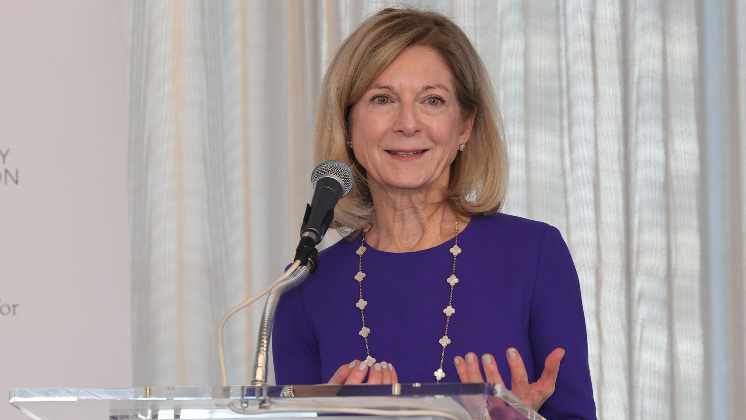 Ann Stern, Houston Endowment